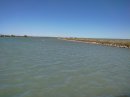 Ambiance Camargue à l'étang de l'Arnel